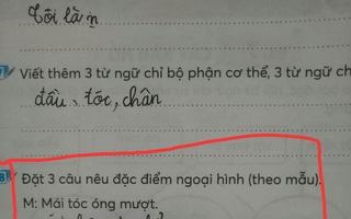 Được yêu cầu "đặt 3 câu nêu đặc điểm ngoại hình", học sinh tiểu học trổ tài khiến cô giáo tá hỏa: Đi dạy mà như tấu hài