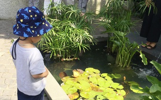 Lời cầu cứu của mẹ Hà Nội nuôi 2 con nhỏ: "Tôi phải chết đi thì con mới thực sự hạnh phúc, sự tồn tại của tôi quá độc hại với con" 