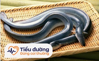 Ăn 2 loại cá này thường xuyên rất tốt cho việc giảm lượng đường trong máu và tăng điều tiết insulin, đặc biệt người tiểu đường rất nên ăn nhiều