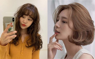 Giữa 7749 tông tóc nâu thì đâu mới là màu nhuộm dành cho bạn?
