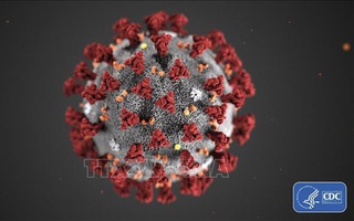 Chuyên gia Philippines cảnh báo virus SARS-CoV-2 đột biến ở người chưa tiêm vaccine