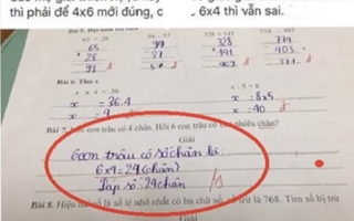 Học trò tính: "6 con trâu có 6x4 = 24 chân" vẫn bị gạch bỏ, đoán trúng sai ở đâu chứng tỏ IQ rất cao!