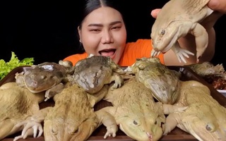 Vlogger Thái Lan làm clip món ăn đặc sản nhưng lại khiến người xem chết khiếp vì cách chế biến quá độc dị