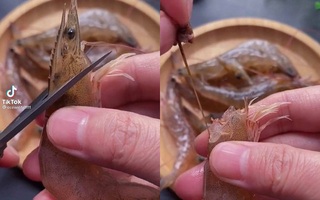 Dân mạng nể phục tài lấy chất thải và chỉ lưng tôm bằng một nhát kéo duy nhất vào vị trí "chí mạng" của con tôm
