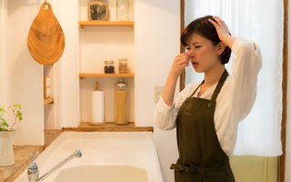 Biên tập viên tiêu dùng gợi ý loạt sản phẩm hữu ích dùng để chống ẩm và giảm nấm mốc trong nhà 