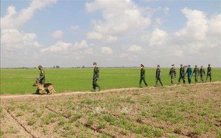 Đối tượng nhập cảnh trái phép, trốn khỏi khu cách ly sẽ bị xử lý hình sự?
