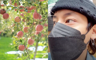 Bất ngờ vì người Nhật không ăn trái cây trồng trong vườn nhà dù nó chín mọng, hot Tiktoker chia sẻ phê phán một số bạn trẻ Việt “tham lam và ngu dốt” gây phẫn nộ