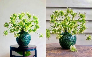Đổi gió cắm hoa đu đủ, vợ đảm chẳng tốn đồng nào vẫn khiến chị em xiêu lòng trước vẻ đẹp lạ của phòng khách