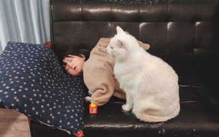 Em bé ngủ quên khi đang chơi, thái độ kiên nhẫn và ấm áp của thú cưng khiến ai nấy lịm tim