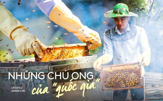 Đến "thủ phủ mật ong" giữa mùa thu hoạch, gặp người đàn ông đã dành cả tuổi xuân đảm nhiệm công việc giữ gìn đàn ong giống quốc gia
