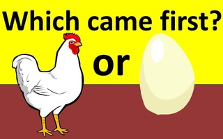 Con gà hay quả trứng có trước? Câu hỏi “hack não” đã có lời giải, nhưng sao xem dân tình tranh cãi vẫn thấy sai sai?