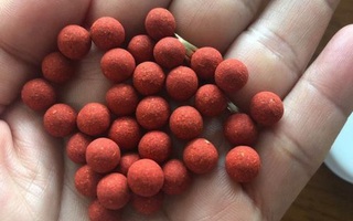 Cảnh báo phản ứng có hại nghi ngờ liên quan đến viên hoàn chứa phenformin không rõ nguồn gốc, xuất xứ