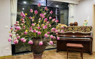 Dân mạng choáng váng với bình hoa sen kích thước "khổng lồ" bằng cả chiếc đàn piano, đến khi hoa nở mới thực sự choáng ngợp