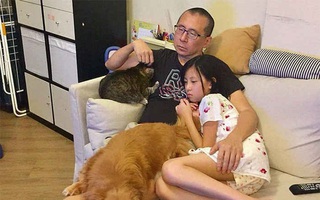 Tư vấn giới tính: "Cháu sống với bố, đến kỳ kinh nguyệt thì nói chuyện thế nào cho đỡ ngại?"