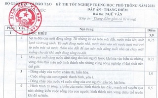Đáp án môn Văn THPT Quốc gia 2021: Bộ công bố đáp án chính thức và thang điểm 