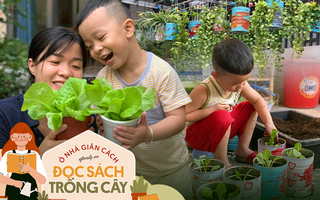Mẹ đảm bật mí cách tận dụng đồ tái chế trồng cả vườn cây trái tốt tươi: Cả nhà vừa khỏe vừa vui, con lại thỏa sức sáng tạo
