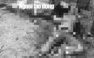 Hỗn chiến kinh hoàng ở Long An, 2 người tử vong tại chỗ