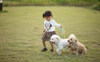 Được khuyên sinh con thì nên bán thú cưng nhưng mẹ bỉm không nỡ, giờ vừa có "boss" trông bé giúp, các con lại học được điều hay