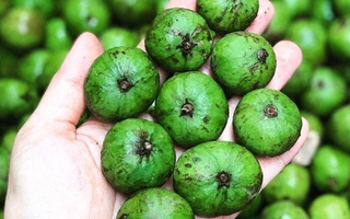 Sấu đông lạnh bán giá 300.000 đồng/kg