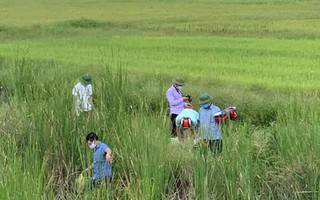 Cà Mau: Liên tiếp xảy ra 2 vụ giết người gây rúng động