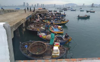 Bão chồng dịch, Đà Nẵng lên phương án chống cơn bão chưa từng có tiền lệ