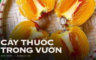 "Thứ quà của mùa thu" đỏ hồng quyến rũ giúp đánh bay vô số bệnh dễ gặp, mùa thu đến rồi tận dụng đi thôi!