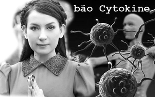 Trước khi mất ca sĩ Phi Nhung bị biến chứng nặng của COVID-19, đông đặc phổi và hoại tử một phần phổi kèm cơn bão Cytokine, suy đa cơ quan