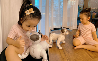 Muốn nuôi chó nhưng ngại hôi, ngại bẩn, học mẹ Hà Nội sắm cún robot "không khác gì hàng thật" làm bạn với con