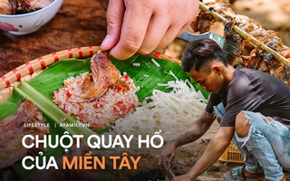 Đào hố làm CHUỘT ĐỒNG QUAY, món ăn thử thách sự can đảm nhưng nếm một lần sẽ biết vì sao nó là ĐẶC SẢN VANG DANH CẢ NƯỚC của miền Tây