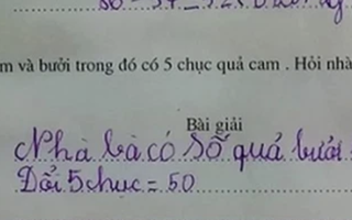 Bài Toán cấp 1: "Có 68 quả cam và bưởi, trong đó có 5 chục quả cam" - Chỉ người IQ cao mới phát hiện điểm sai trái ở đây!