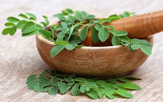 Chùm ngây - Loại rau mẹ bầu tuyệt đối không nên ăn