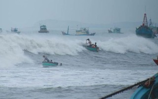 Hai kịch bản ứng phó với bão số 6, bằng mọi cách đưa 50 tàu thuyền vào bờ