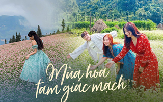 Không chỉ ở Hà Giang, 3 địa điểm cũng có hoa tam giác mạch nở rực rỡ đẹp đến nao lòng