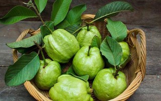 Ổi nhiều vitamin C, ăn rất tốt, nhưng ăn kiểu này thành ‘cực kỳ độc hại’