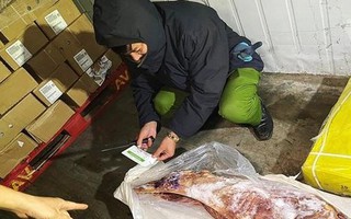 Phát hiện kho chứa 90 tấn móng giò, chân gà, thủ lợn đông lạnh quá hạn sử dụng 2 năm