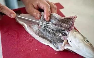 Những loại cá không nên ăn vì chứa nhiều thủy ngân, dễ nhiễm độc