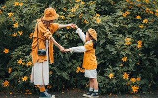 Cho bé đi du lịch Ba Vì mùa này có gì hay?