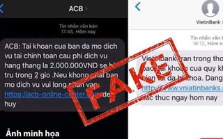 Các hình thức lừa đảo phổ biến trên mạng chủ yếu là giả mạo thương hiệu