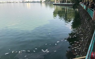 Kết quả quan trắc nước hồ Tây sau hiện tượng cá chết ra sao?