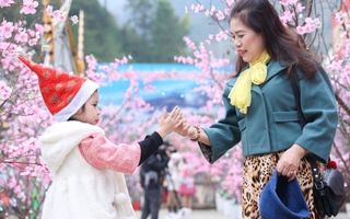 Lễ hội hoa tớ dày Mù Cang Chải thu hút du khách thập phương