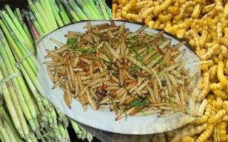Món ăn đặc sản vùng Tây Bắc khiến nhiều thực khách phải giật mình, không phải ai cũng dám thử