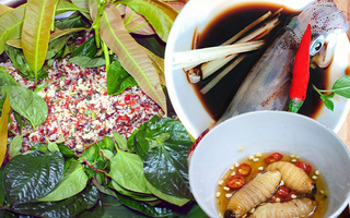 Những đặc sản ăn sống nổi tiếng khắp Việt Nam mà không phải ai cũng can đảm thử