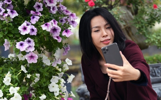 Giới trẻ Hà Nội rủ nhau đến “check in” lễ hội hoa Mê Linh 2022