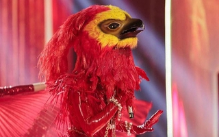 Ekip The Masked Singer tiết lộ hành động đáng yêu của diva Hà Trần khi bị "rớt đầu" Phượng Hoàng Lửa!