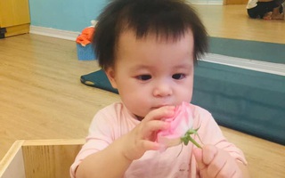 "Bấm bụng" cho con ĐI HỌC từ 7 tháng tuổi, bà mẹ ở Hà Nội rút ra loạt KINH NGHIỆM hay ho, có 1 chi tiết quan trọng rất nhiều bố mẹ bỏ qua
