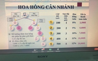 Biến tướng đa cấp mới: Chữa được COVID-19 qua ứng dụng điện tử