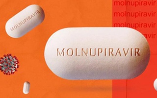 Chính thức: Giá thuốc Molnupiravir do Việt Nam sản xuất thấp nhất là 8.675 đồng/viên