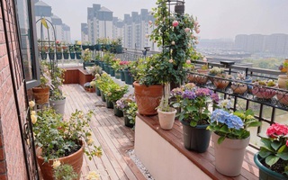 Một năm trồng được hơn 200 chậu cây, người mẹ trẻ biến hiên nhà thành khu vườn trên cao khiến ai nấy đều thấy ngỡ ngàng