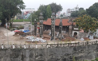 Hà Nội: Thanh tra vào cuộc vụ chặt cây đa ở đình Chèm cổ 2.000 năm tuổi