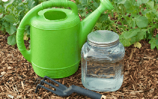 Cách tự làm phân bón cho cây trồng vừa rẻ vừa an toàn cho khu vườn của bạn